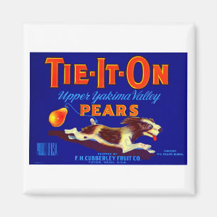Tie-it-on-päron Magnet