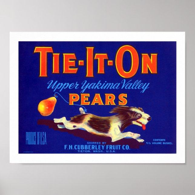 Tie-it-on-päron Poster (Framsidan)