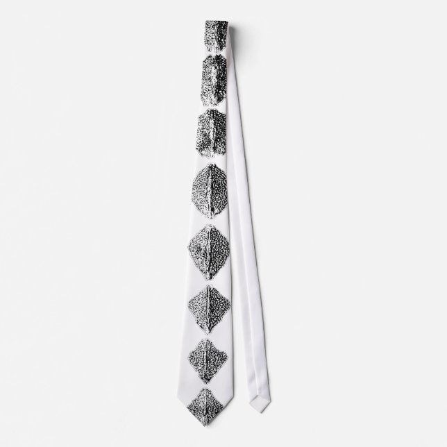 Tie Necktie - SCUTES Sturgeon Huge Slips (Framsida)