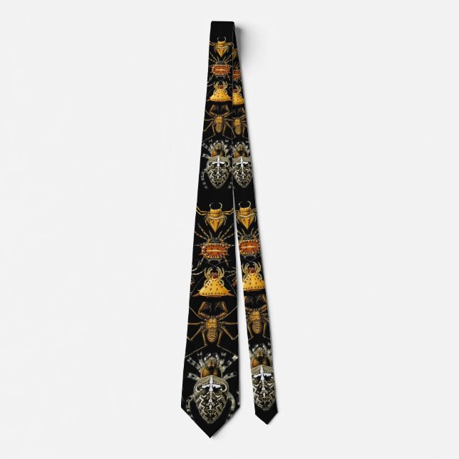 Tie Vintage Artist Ernst Haeckel Spiders Slips (Framsida)