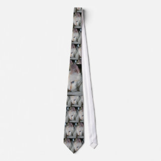 Tie vitkatt slips