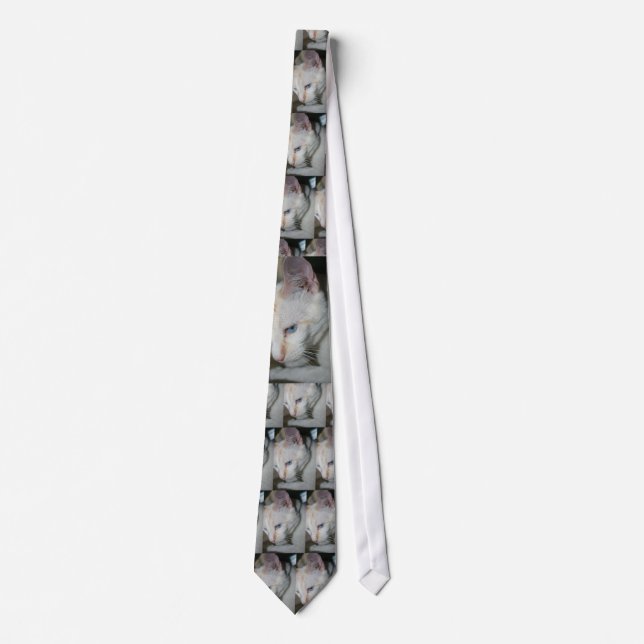 Tie vitkatt slips (Framsida)