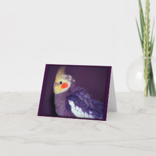 Tiel anpassadekort kort