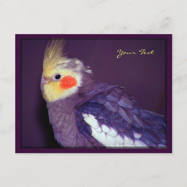 Tiel-vykort Vykort (Framsida)