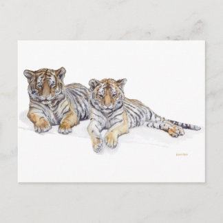 tiercubs vykort