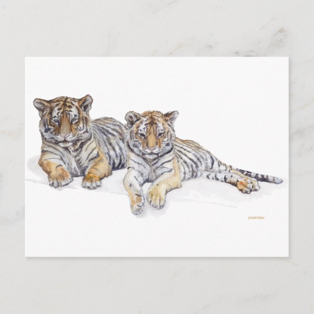 tiercubs vykort (Framsida)