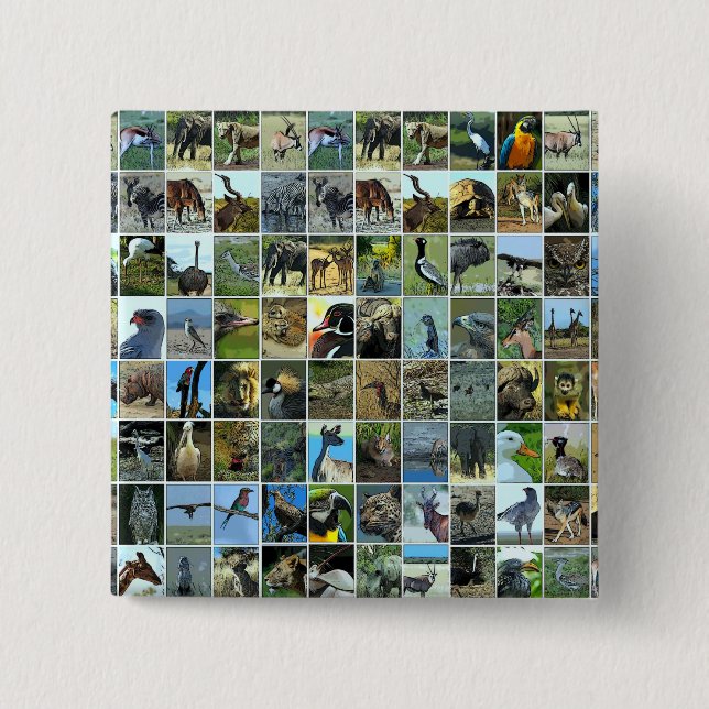 Tiere der Welt Knapp (Framsida)