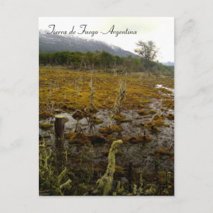 Tierra del Fuego - Argentina Vykort
