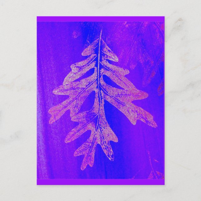 Tiferet Sh'b'tiferet Vykort (Framsida)