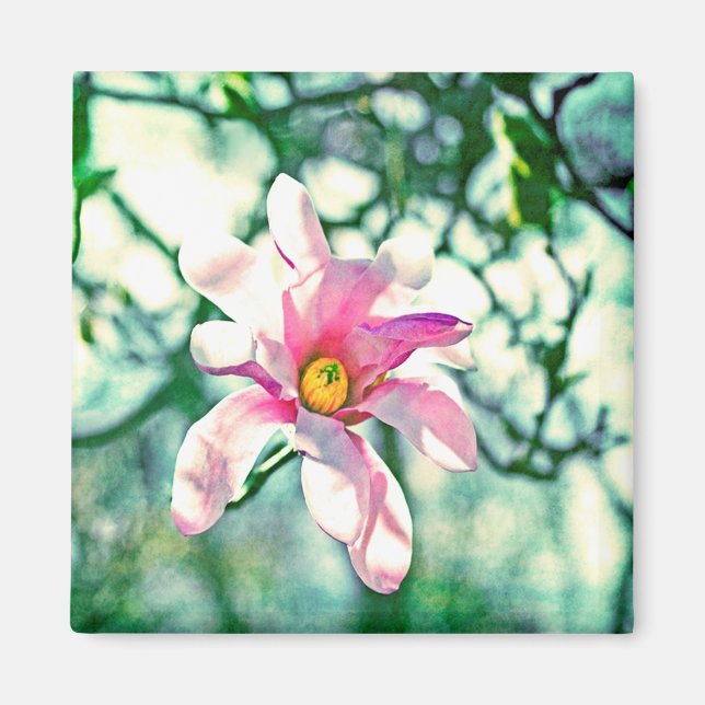 Tiffany Magnolia Magnet (Framsidan)