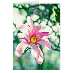 Tiffany Magnolia OBS Kort