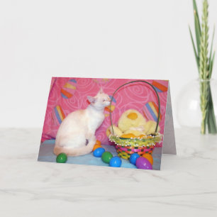 Tiffany's Påsk Önskemål Greeting Card Helgkort