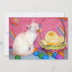 Tiffanys påskkorg - Katt/ Kattunge - Platt kort