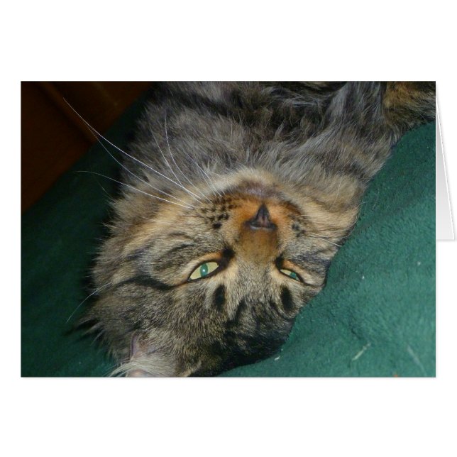 Tig Hälsningskort (Framsidan Horizontal)