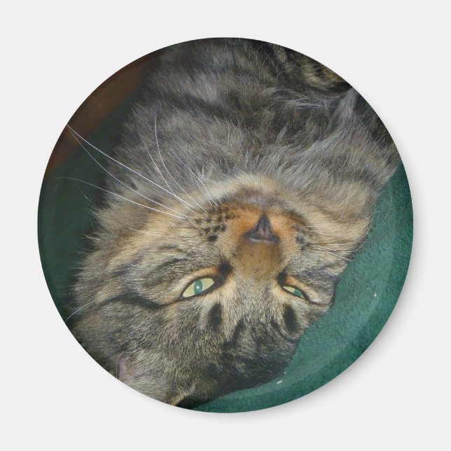 Tig Magnet (Framsidan)