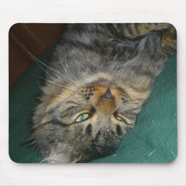 Tig Musmatta (Framsidan)