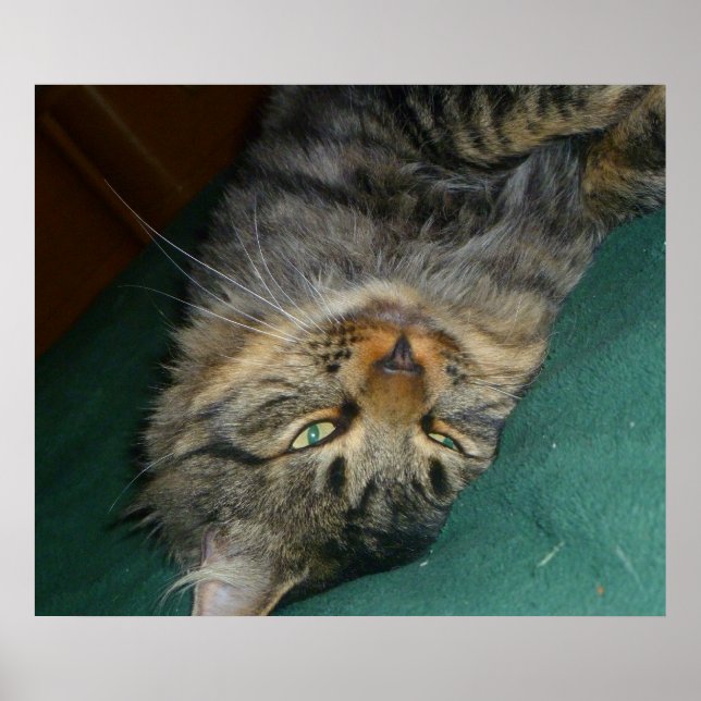 Tig Poster (Framsidan)