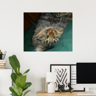 Tig Poster