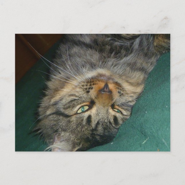 Tig Vykort (Framsida)