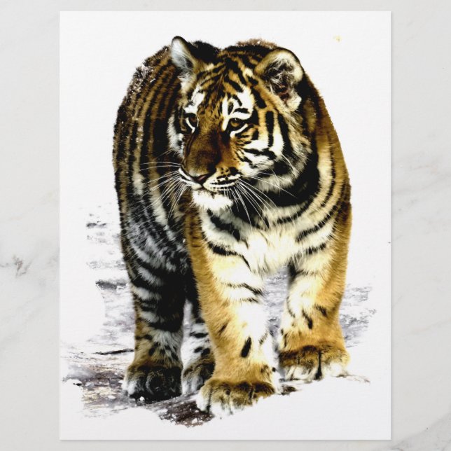 Tiger (Framsida)
