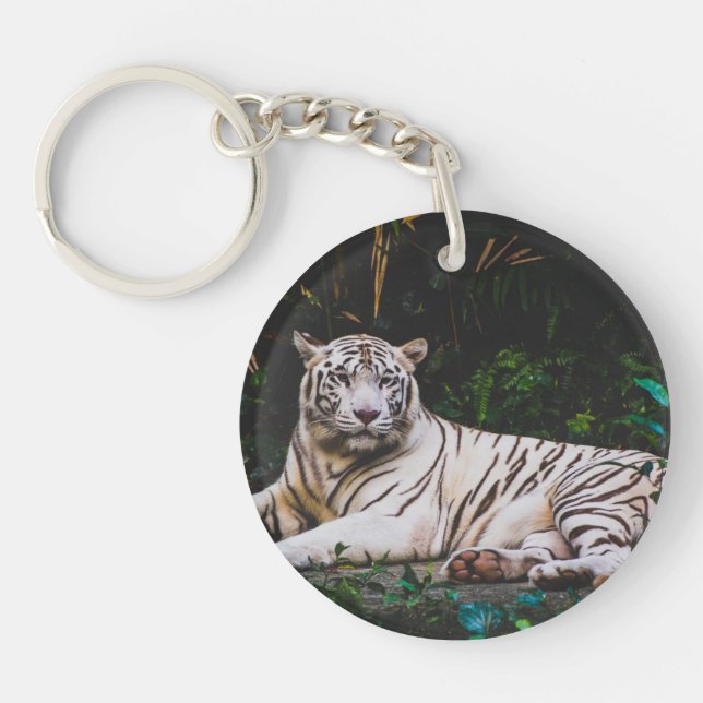 Tiger (Framsidan)