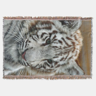 Tiger20151001 Mysfilt