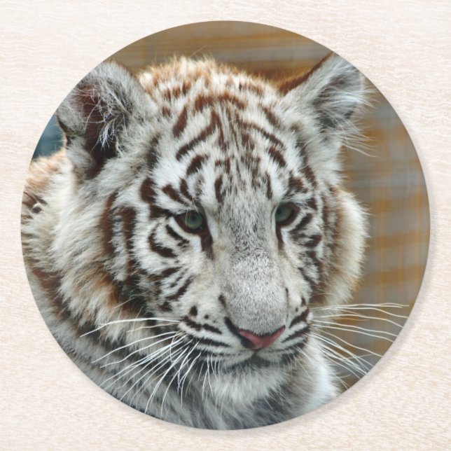 Tiger20151001 Underlägg Papper Rund (Framsidan)
