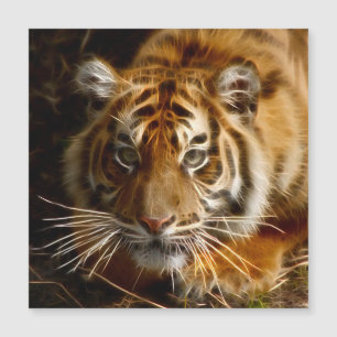Tiger20151206