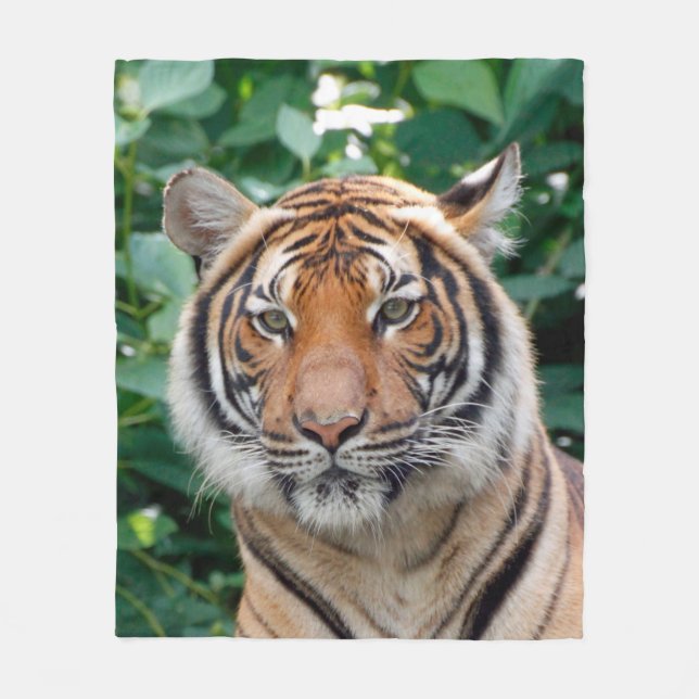 Tiger 001 fleecefilt (Framsidan)