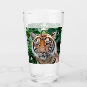 Tiger 001 glaskopp