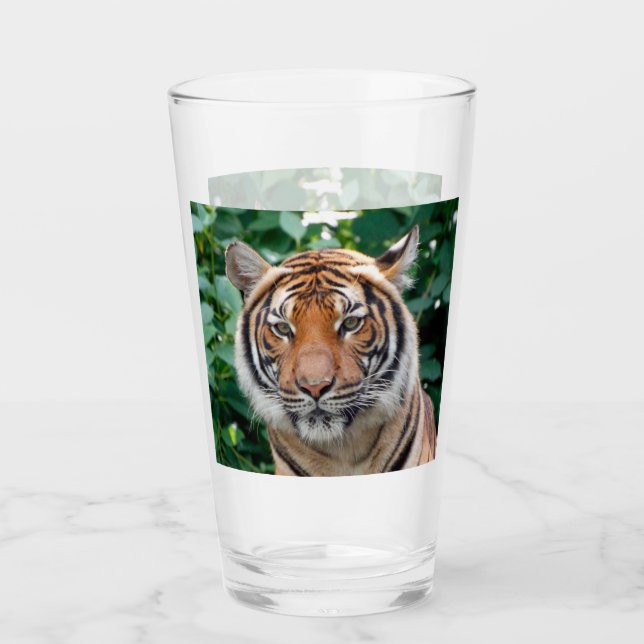 Tiger 001 glaskopp (Framsida)
