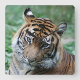 Tiger 013 fyrkantig klocka