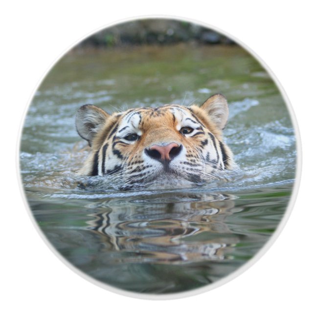 Tiger 028 knopp (Framsidan)
