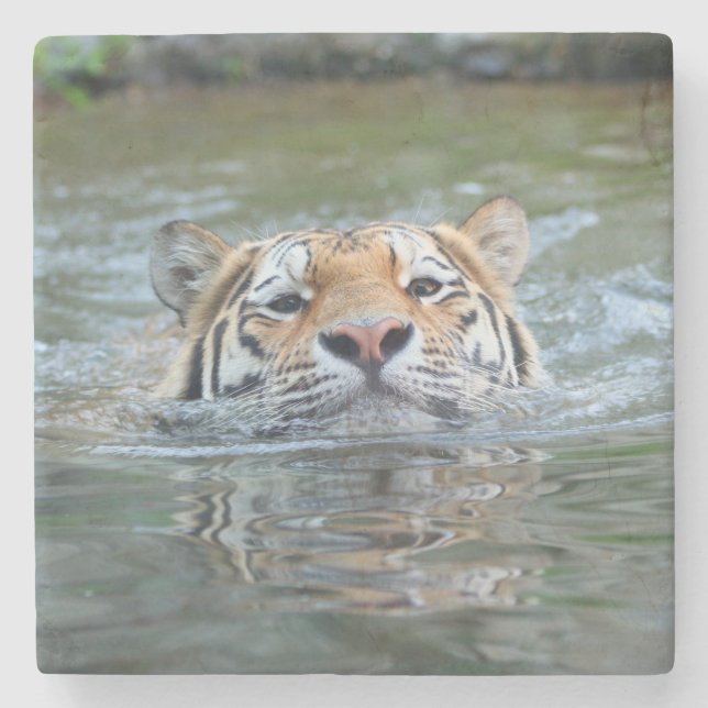 Tiger 028 stenunderlägg (Framsidan)