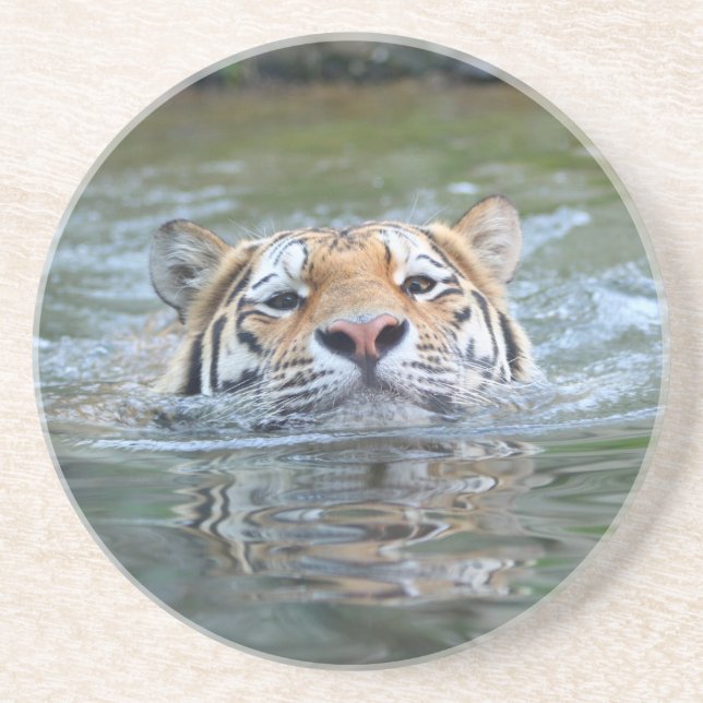 Tiger 028 underlägg (Framsidan)