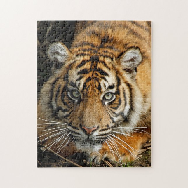 Tiger 037 pussel (Vertikal)