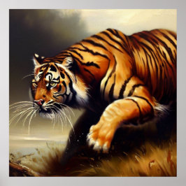 Tiger (11) Vild katt Poster
