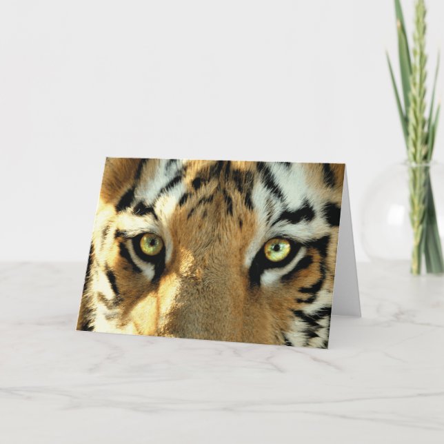 Tiger 1 - gratulationskort helgkort (Framsida)