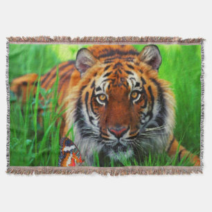 Tiger 1-pil-omformning mysfilt