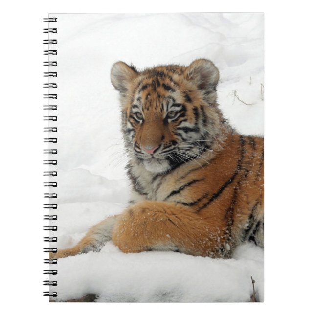 Tiger_2015_0101 Anteckningsbok Med Spiral (Framsidan)