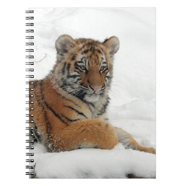 Tiger_2015_0102 Anteckningsbok (Framsidan)