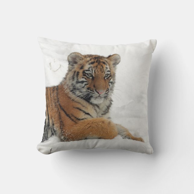 Tiger_2015_0102 Kudde (Framsida)