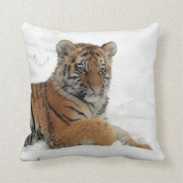 Tiger_2015_0102 Kudde