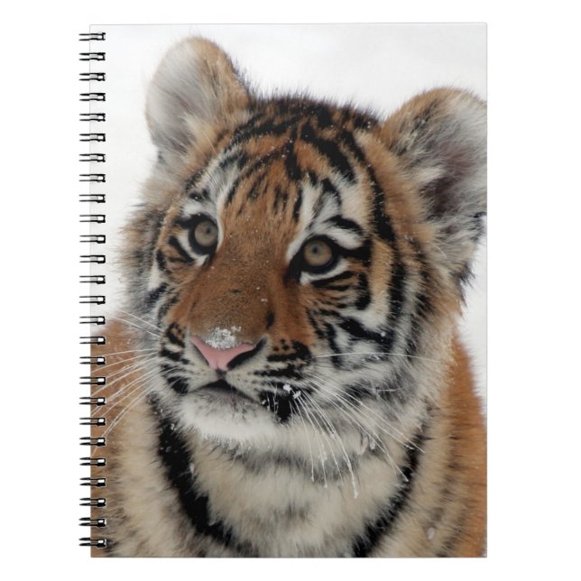 Tiger_2015_0114 Anteckningsbok (Framsidan)