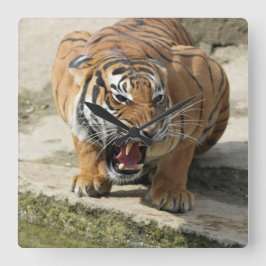 Tiger_2015_0156 Fyrkantig Klocka