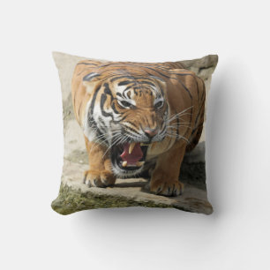 Tiger_2015_0156 Kudde