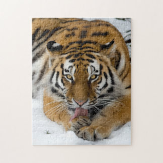 Tiger 252 bitars pussel
