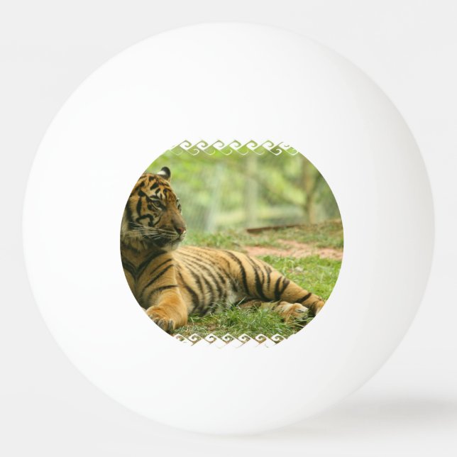 tiger-28 pingisboll (Framsidan)