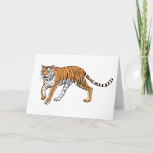 Tiger 2 kort