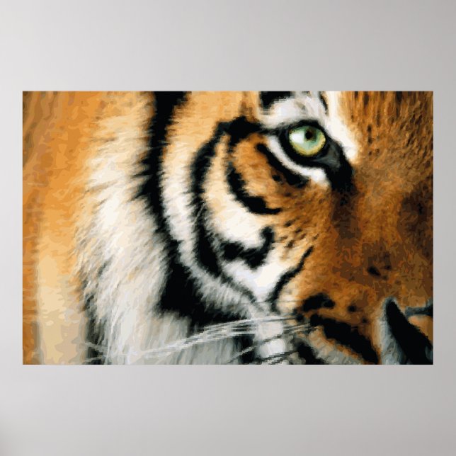 Tiger 2 - Poster (Framsidan)